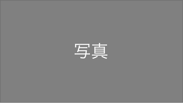 ダミー