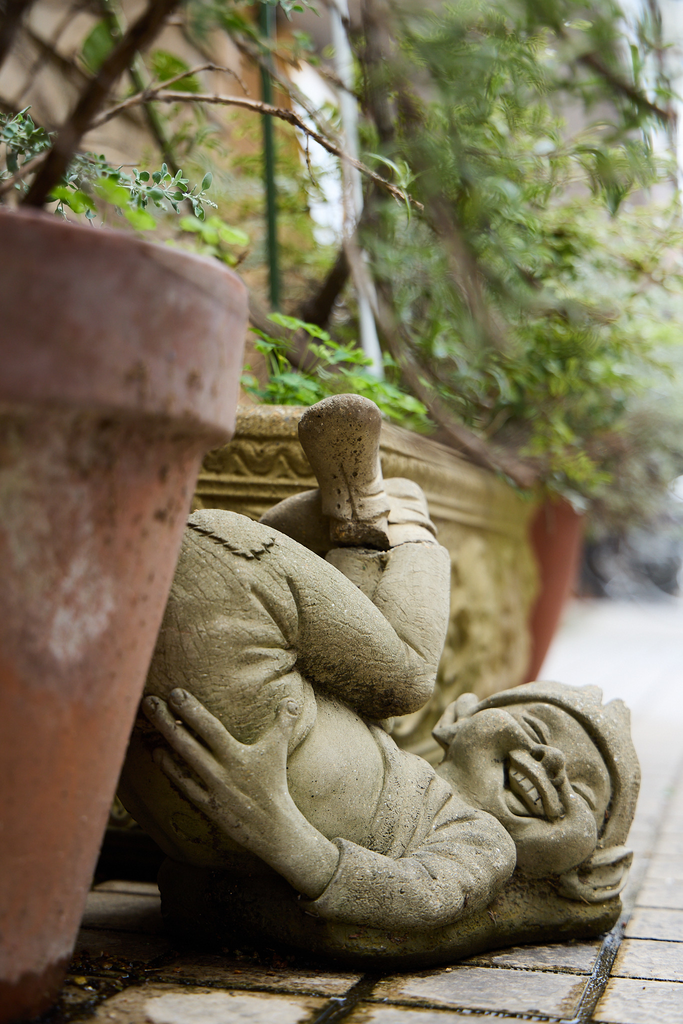 11/3 &11/24は祝日の為休校致します